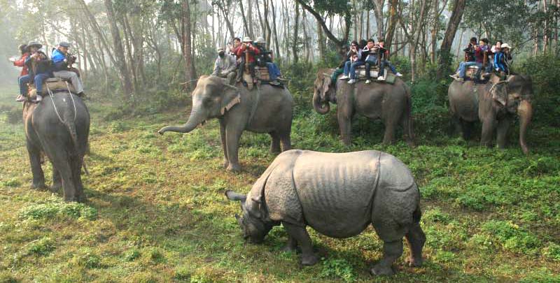 Jungle safari Nepal Jungle safari Nepal