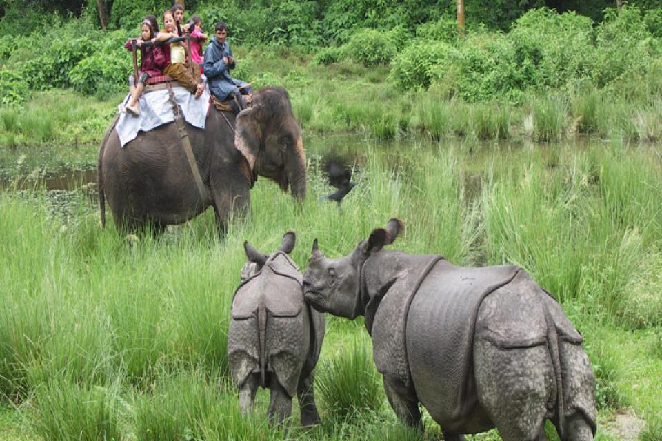 Parco naturale Chitwan Parco naturale Chitwan